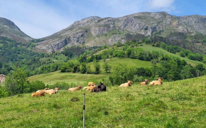 Los vecinos Los vecinos
