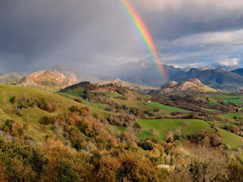 corporativo portada corporativo portada