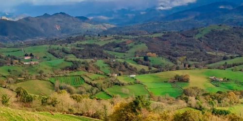 entorno unico entorno unico