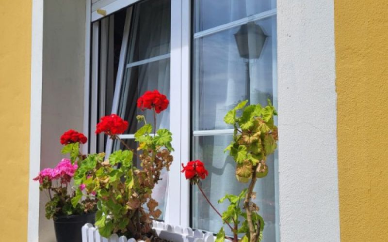 Exterior de la habitación Exterior de la habitación